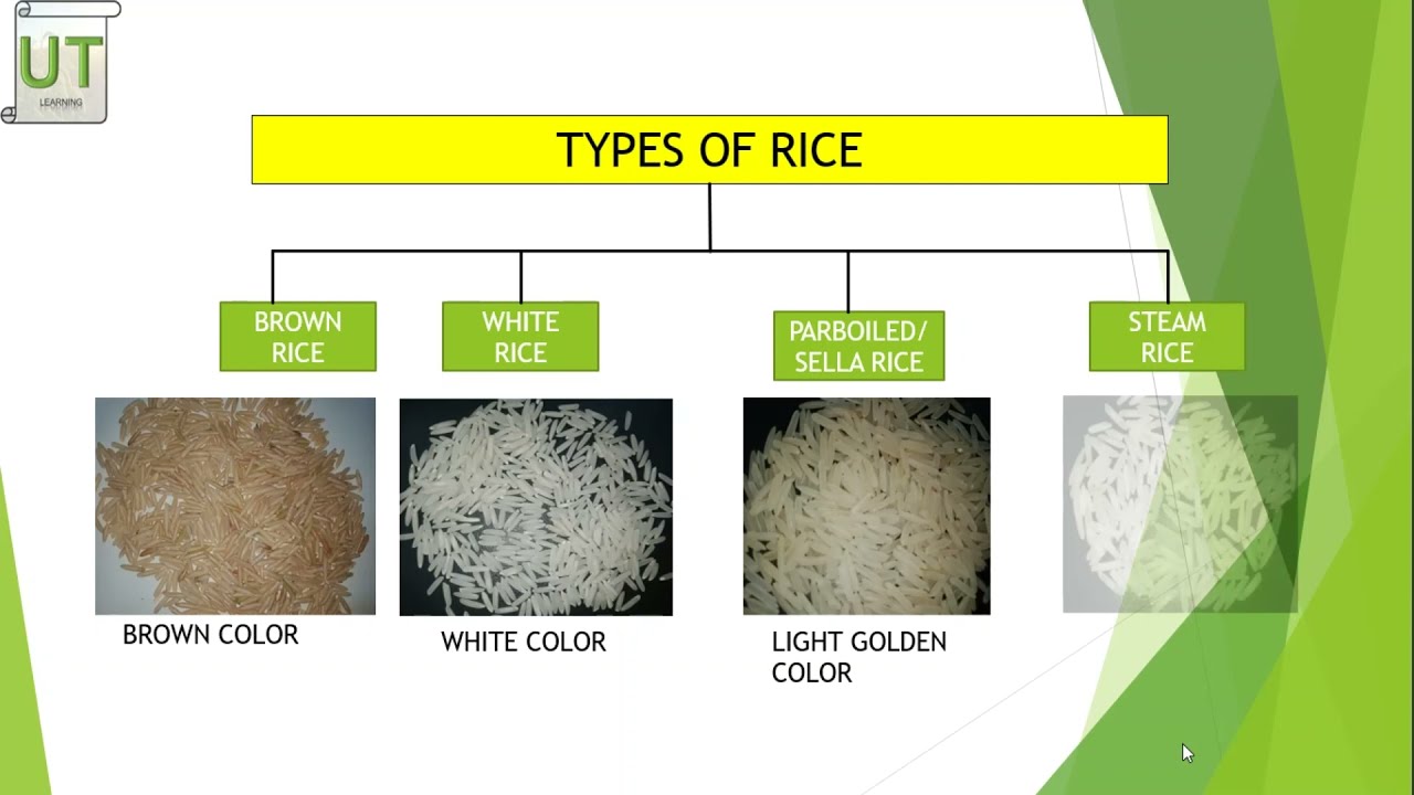 Types of Rice in Pakistan