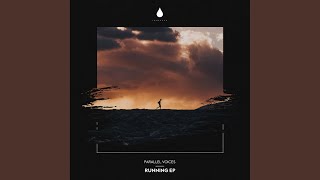 Humanity - Parallel Voices