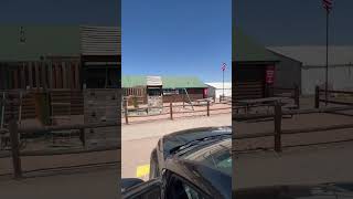 ‼️Shooting Clays Gun range! Denver, Colorado  💨 🔫
