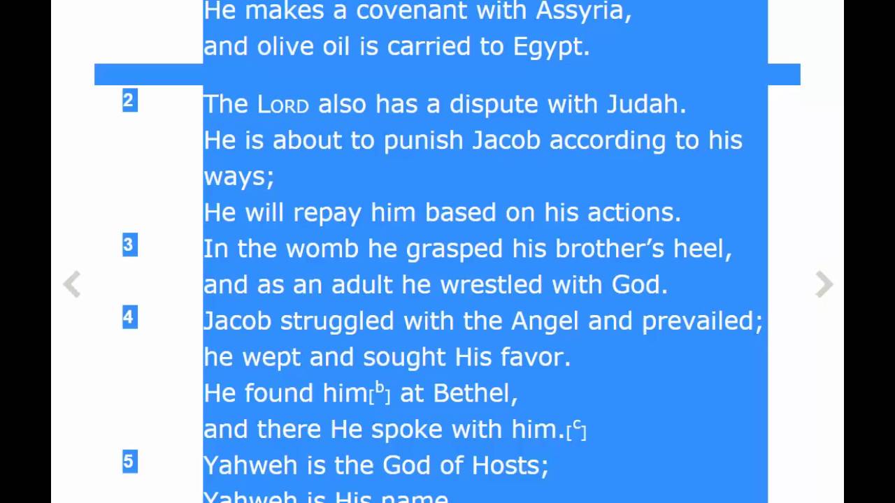 Hosea12