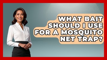 What Bait Should I Use For A Mosquito Net Trap? - Insects and Invaders