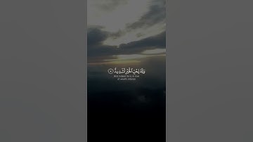 #قران كريم#خالد الجليل #ان الإنسان لربه لكنود