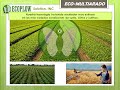 Eco Arado en Vivo en Expo Agro Sinaloa 2022