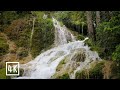 Feeling Exhausted? 😴 | 🐦 Let Nature Heal You | 💦 8 Hours of Waterfall Sounds to Relieve Fatigue