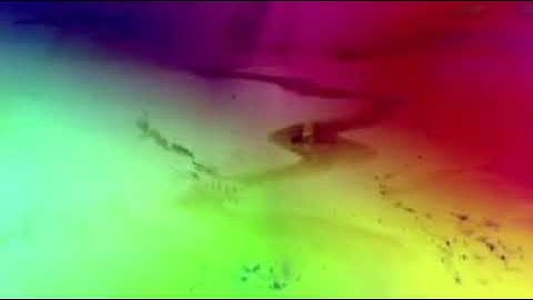 Walt. Disney. Enhanced. With. Dma