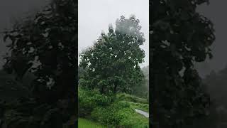 🌧⛈️Rim jhim 🌧⛈️