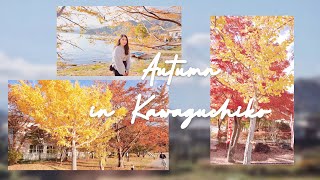 Japan Autumn vlog at Lake Kawaguchiko & Mount Fuji Travel Guide