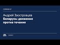 Андрея Заостровцева: «Беларусь: движение против течения»