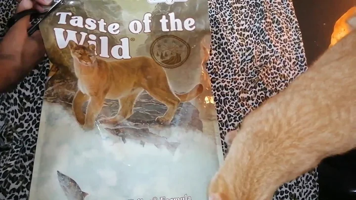 Cats react to Taste of Wild Catfood 😽