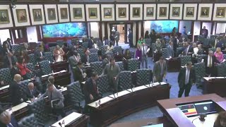 Gov. DeSantis signs new Florida congressional map, reducing Democratic districts