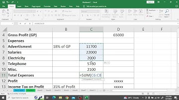 Excel Project 1