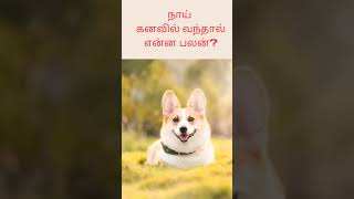 நய கனவல வநதல எனன பலன ய பலனகள