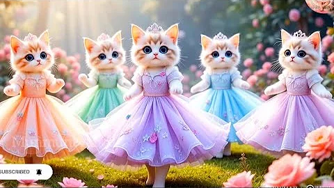 Video 11756341: cutest cat funny dance, beautiful cat dance funny