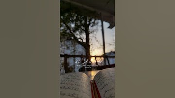 سورة البقرة {الآية 216} مشاري العفاسي بن راشد ❤️💖