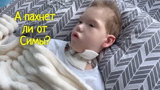 VLOG: А не пахнет ли от Симы?/ Сюрприз для Леры/ Приют бездомных животных Мурррчим