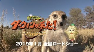 NHK総合テレビの人気自然番組が初の映画化決定！　『劇場版 ダーウィンが来た！アフリカ新伝説』予告映像