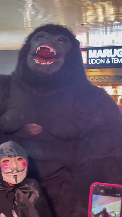 the kingkong #shortsvideo  #kingkong #monkeyvideo