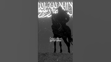 اكتب شيء تؤجر عليه ❤️‍🩹🌿 #تلاوة_خاشعة #اكسبلور #قران_كريم