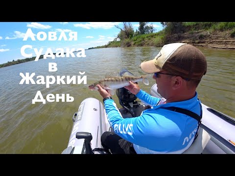 Холостые поклёвки судака в жару и как от них избавиться!? Ловля судака в жару!