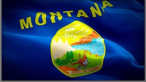 Montana flag USA State video waving in wind. United States Billings Flag background.Montana