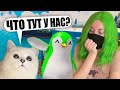 РЫСЯ СТРОИТ ТАЙКУН ПИНГВИНОВ ВМЕСТО МЕНЯ! Roblox Penguin Tycoon