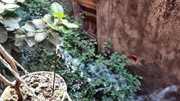 Poco F1 (960fps) Super Slow Motion Video Sample