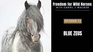 15. Blue Zeus