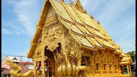 S.Mandelker PhD: Seeking, Intention & Human Stasis