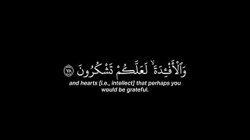 سوره النحل الايه 78 القارئ الشيخ ياسر الدوسري ❤️