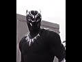 Spiderman Vs Black panther