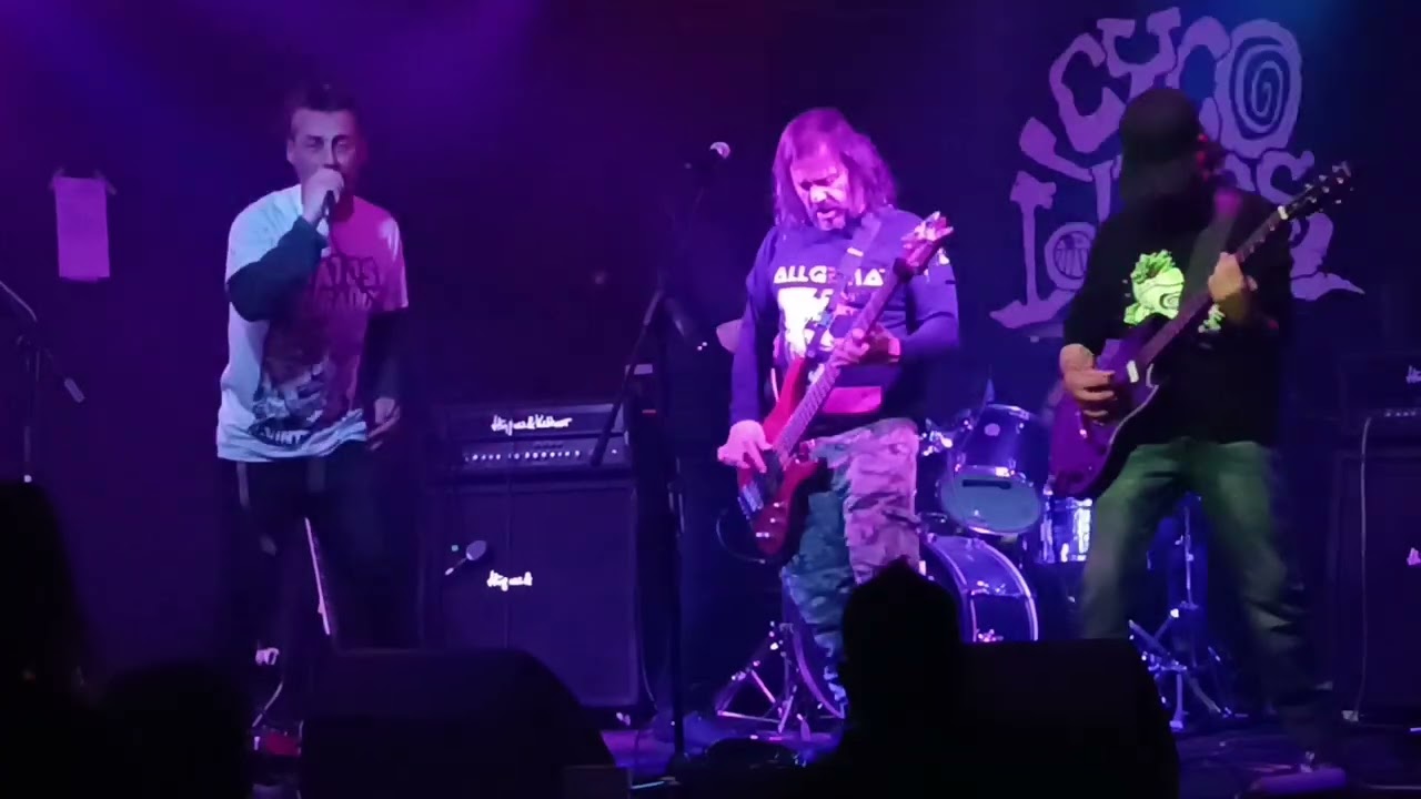 Cyco Lolitas live 2024