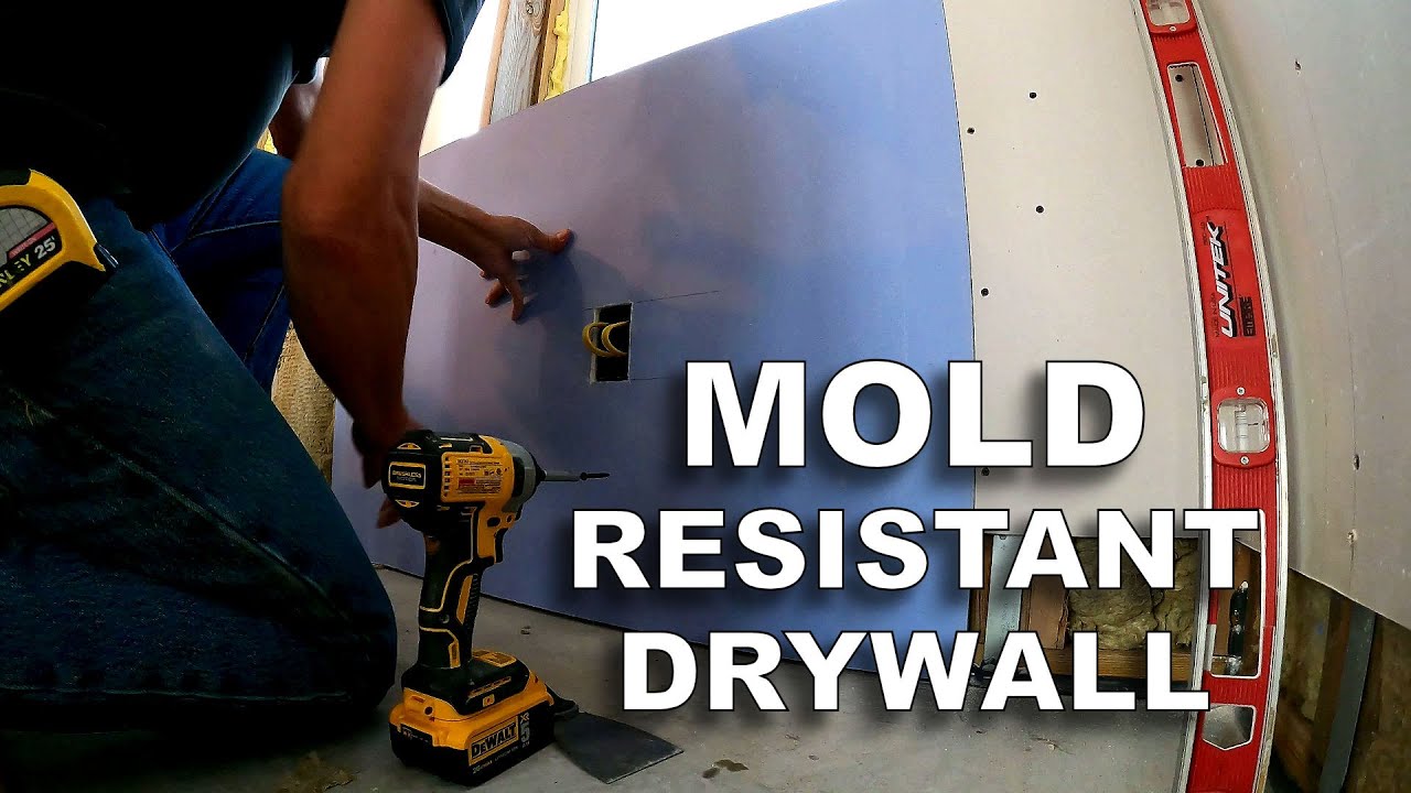 Finishing the Mold and Moisture Resistant Drywall [For Now] YouTube
