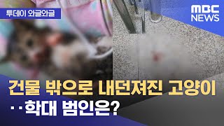 [와글와글] 건물 밖으로 내던져진 고양이‥학대 범인은? (2024.04.19/뉴스투데이/MBC)