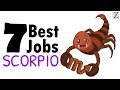 7 Best Jobs for Scorpio Zodiac Sign