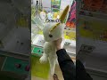 【感動】取った景品を子供たちにプレゼント！もってきーな＋香取店！　#クレーンゲーム #ゲームセンター