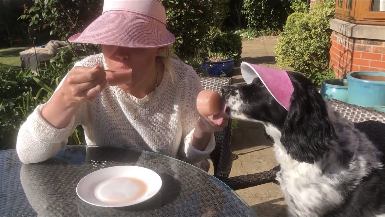 Natural icelollies for dogs Laughing Dog Food YouTube