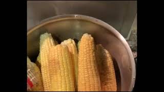 أكواز الذرة الذهبية  المسلوقة وطريقة سلقها في قدر الضغط Golden corn cones