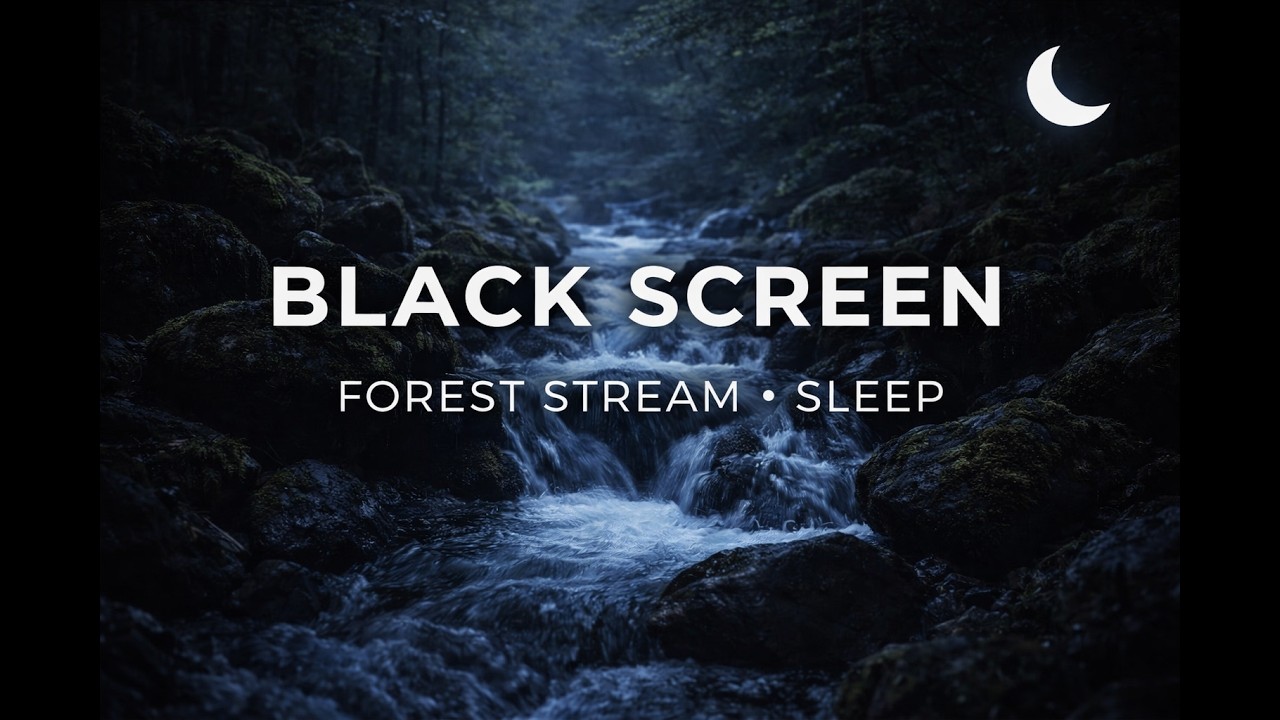 Gentle Forest Stream for Sleep • 12H Black Screen Water Sound