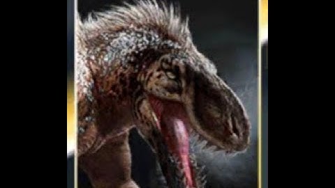 JWA Gorgotrebax raid - v. 2.9 w/o apex in team