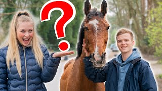 EILMELDUNG - Mein Freund hat ein Pferd gekauft!!🤯