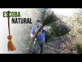 Como hacer una escoba tradicional de retama lifehack para una escoba natural  cytisus scoparius