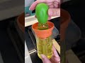 Clean Home With Smart Home Gadgets 😍 | Home Cleaning TikTok  |#cleaning #usa   @Smarthomegadets234