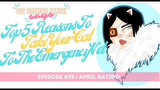 Cat Breeder Sensei Says | Episode 25 | Top 5 Reasons To Take Your Cat to The Emergency Vet by Cat Breeder Sensei - Breeding Cats Successfully 42 views 1 year ago 34 minutes