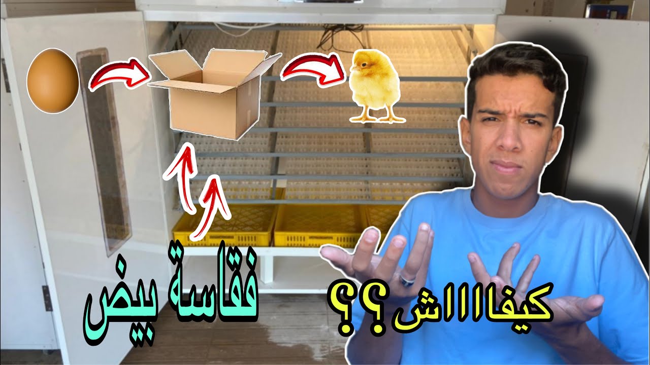 صناعة فقاسة بيض يدوية ناجحة %100 بأدوات بسيطة
