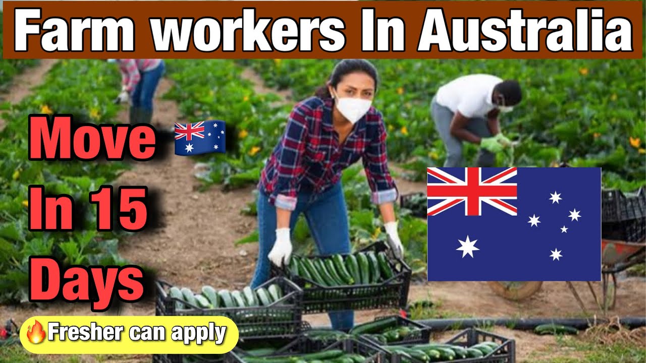 Farm & Agriculture jobs in Australia 🇦🇺 2024 New Job Vacancy in