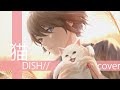 猫 - DISH//【こはならむ】