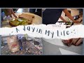 Day In The Life || Food -Garden- Quilt -Yoga || 11/11/23