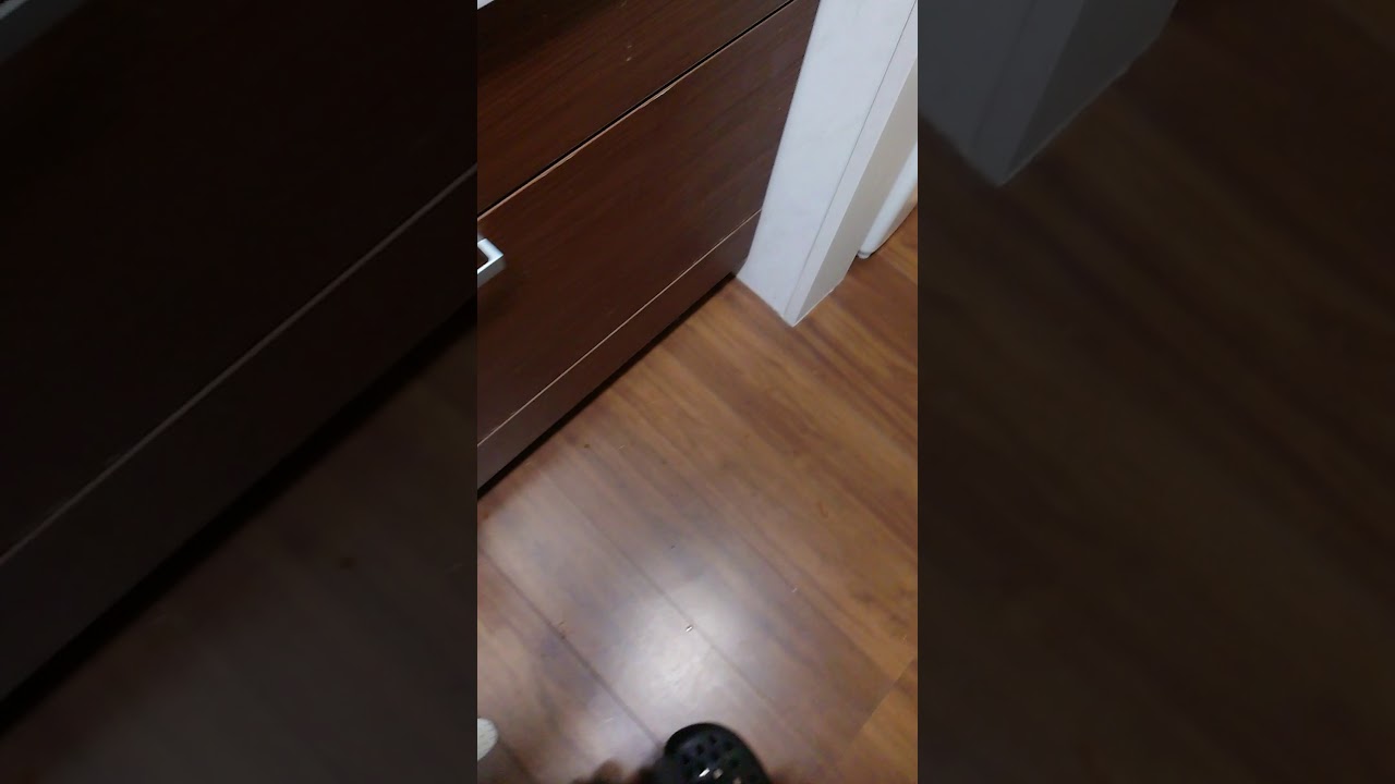 やめて みた ネタバレ