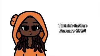 tiktok mashup january 2024 *updated*