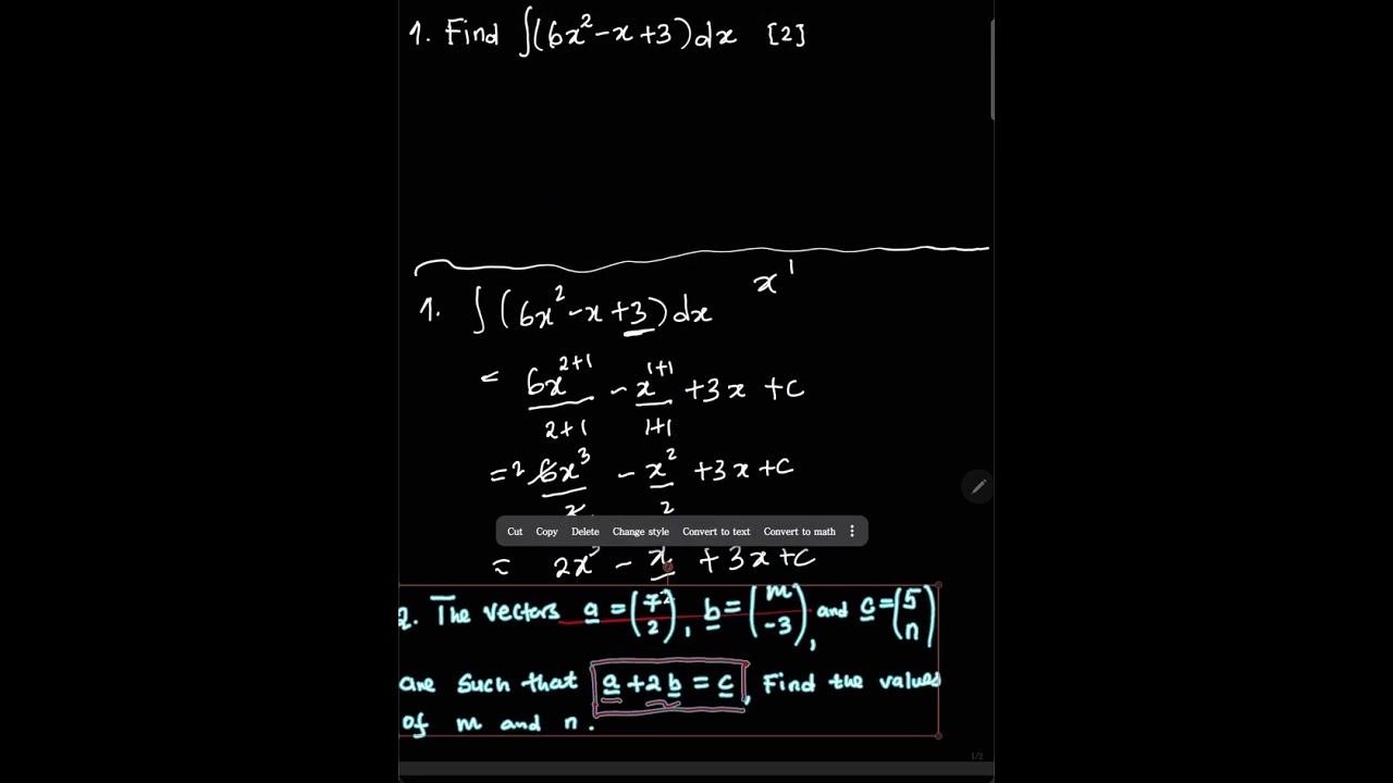 MATHS P1 NOVEMBER 2025 || VECTORS & CALCULUS|| Indefinite Integral